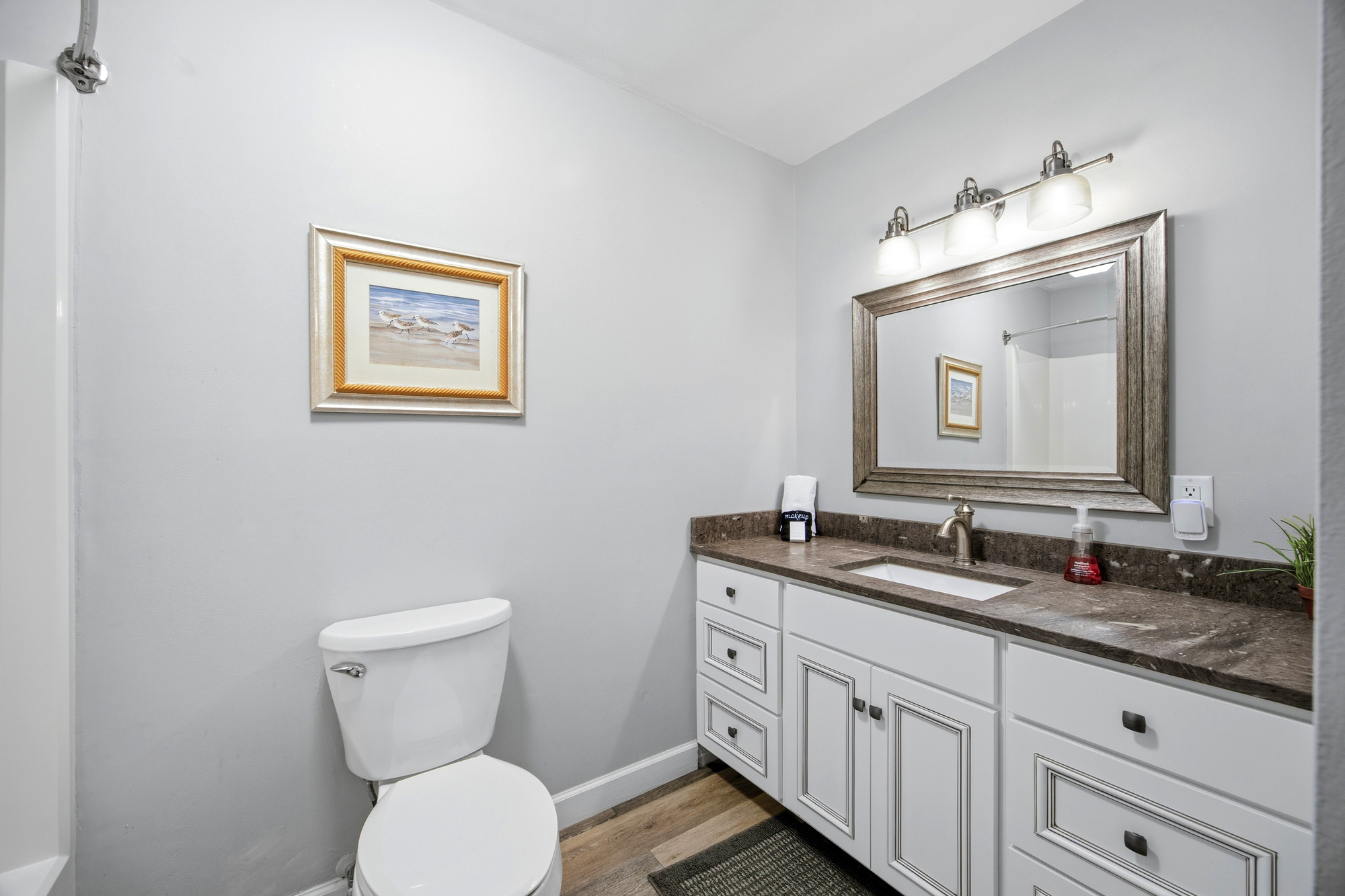 Stone countertops and an elegant silver-framed mirror anchor this bright bathroom, where cool gray walls meet warm wood flooring. Glowing vanity lamps casting a soft radiance create a calm, clean space perfect for your morning routine.