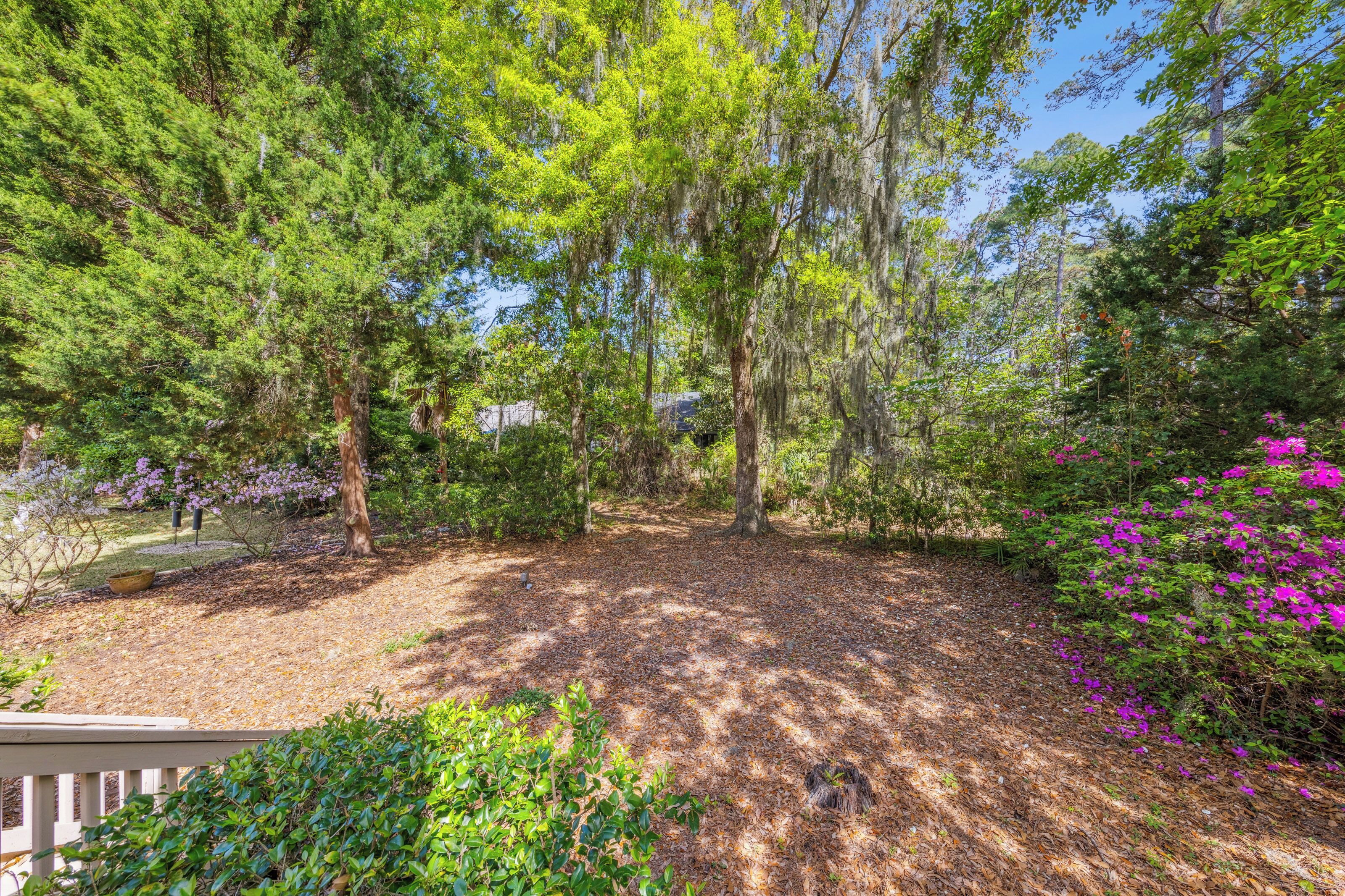 Spanish moss drapes from ancient branches, casting dancing shadows across the pine straw floor. Bright magenta blooms and lush greenery frame this quiet forest clearing, offering a private pocket of peace under the afternoon glow.