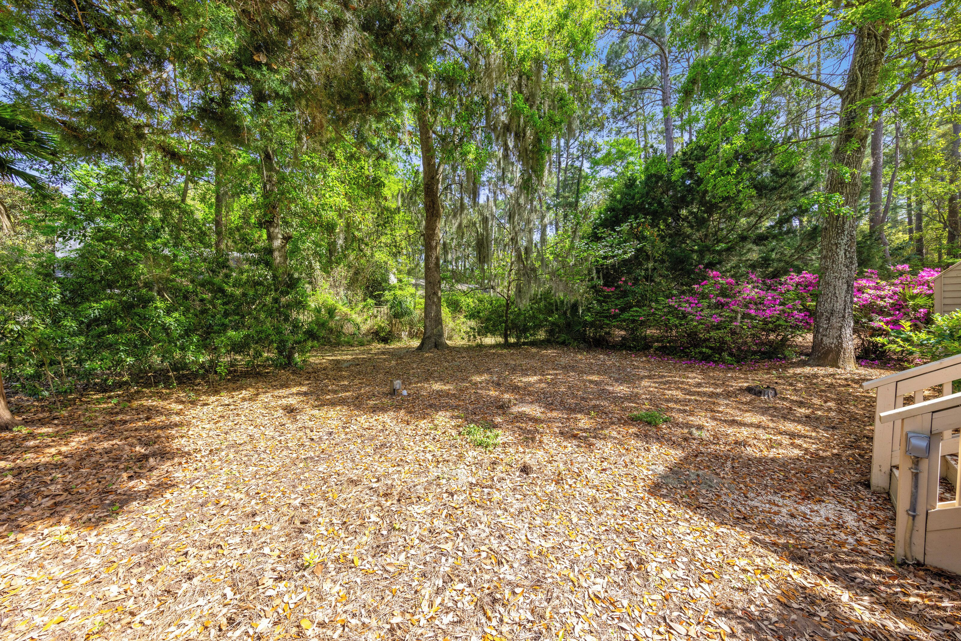 Mossy oaks and blooming pink azaleas create a quiet sanctuary beneath a canopy of swaying trees. Dappled afternoon glow warms the forest floor, inviting you to wander through the shadows and find a moment of peace in the wild.
